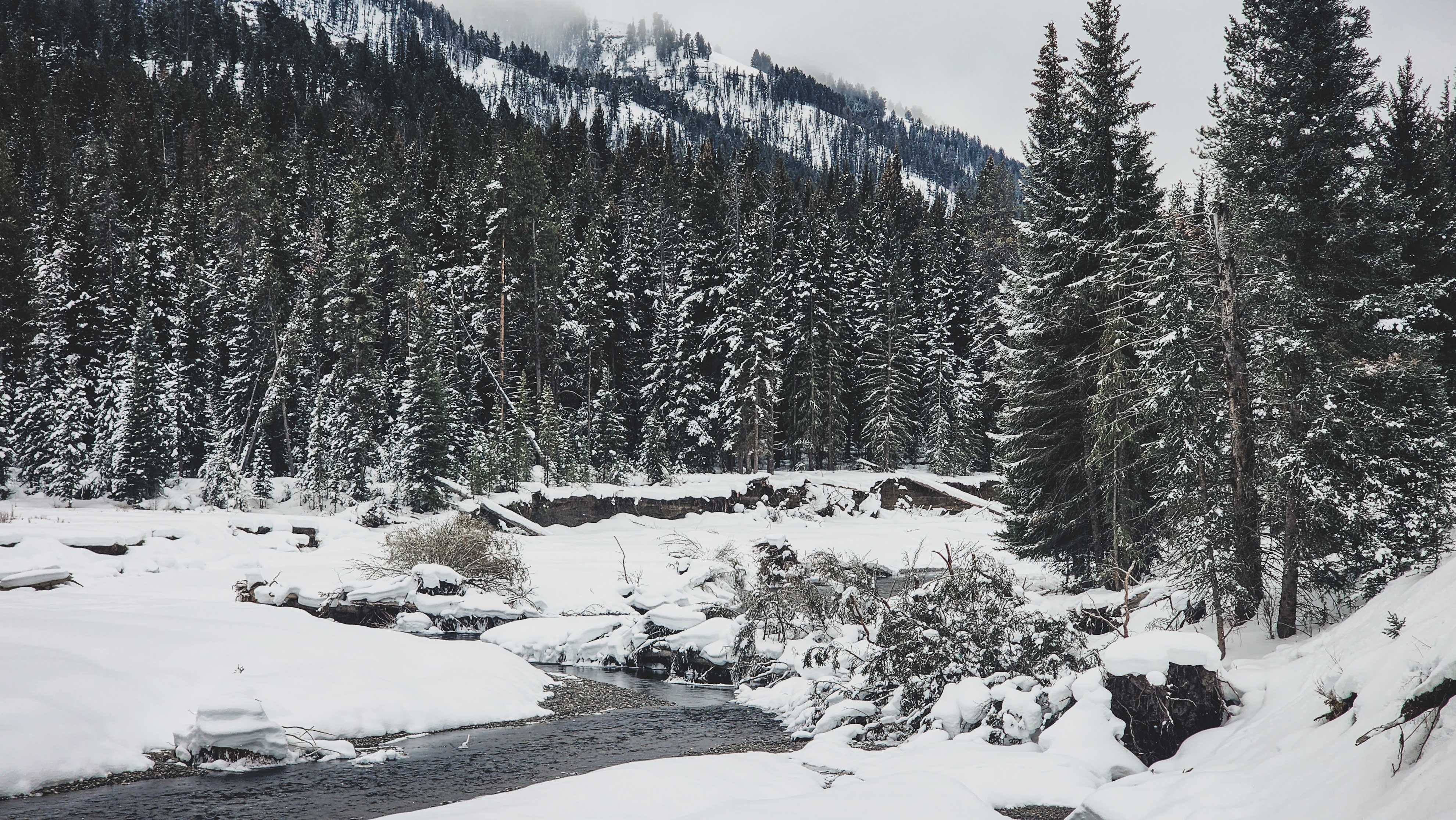 6-Day Yellowstone National Park Winter Wonderland Lodging Tour from Bozeman | Max 13 Small Group