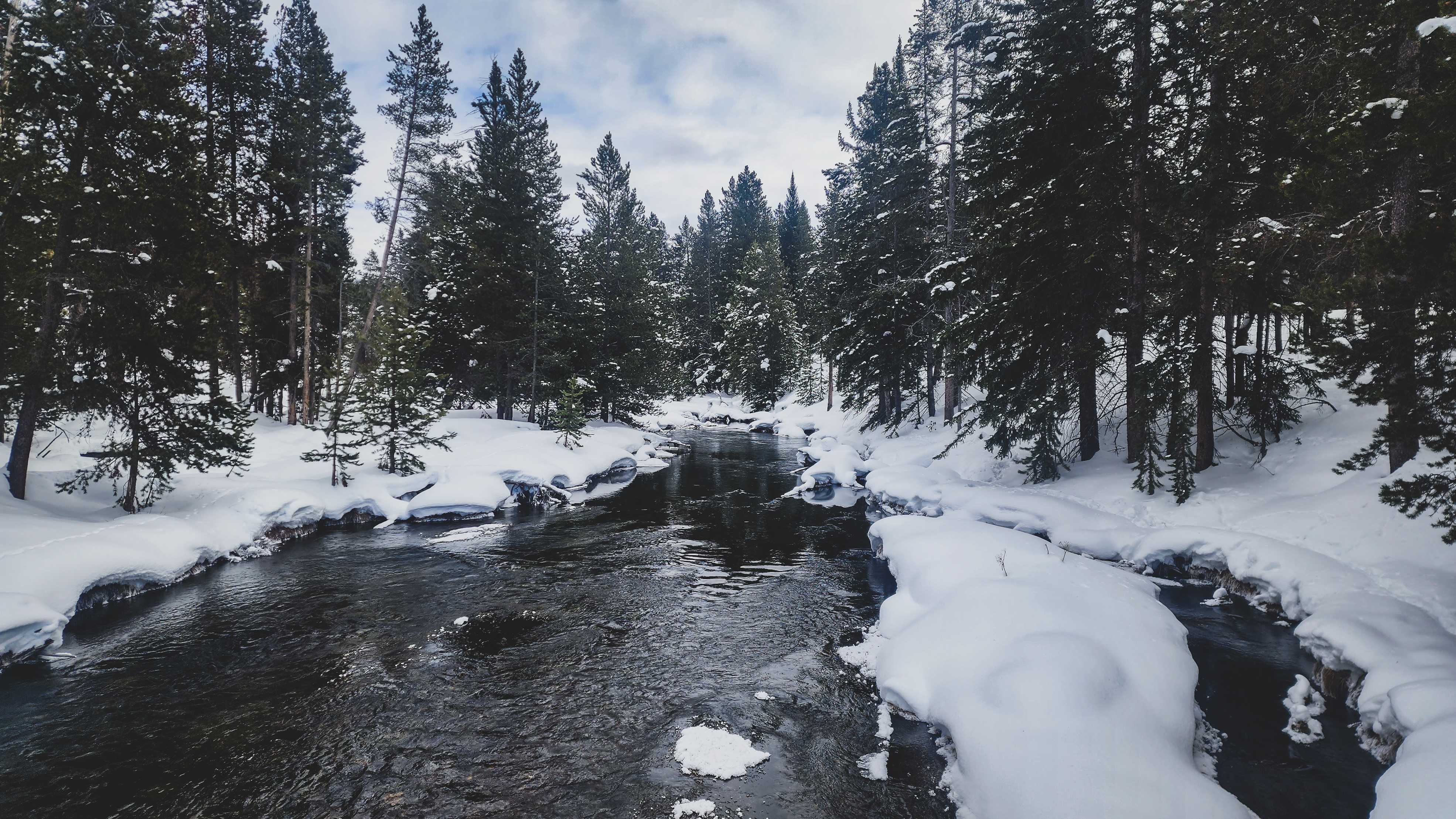 6-Day Yellowstone National Park Winter Wonderland Lodging Tour from Bozeman | Max 13 Small Group