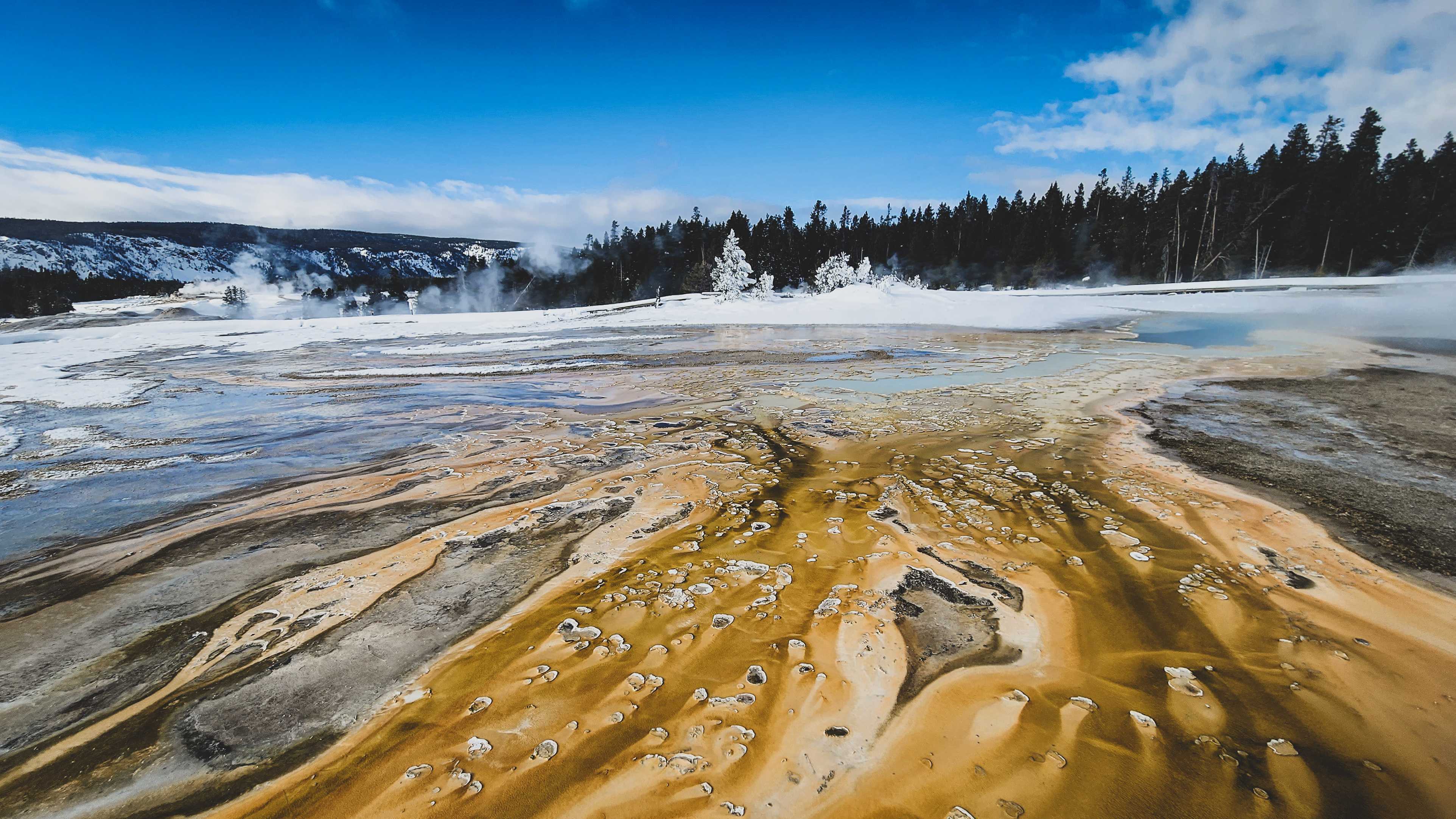 6-Day Yellowstone National Park Winter Wonderland Lodging Tour from Bozeman | Max 13 Small Group