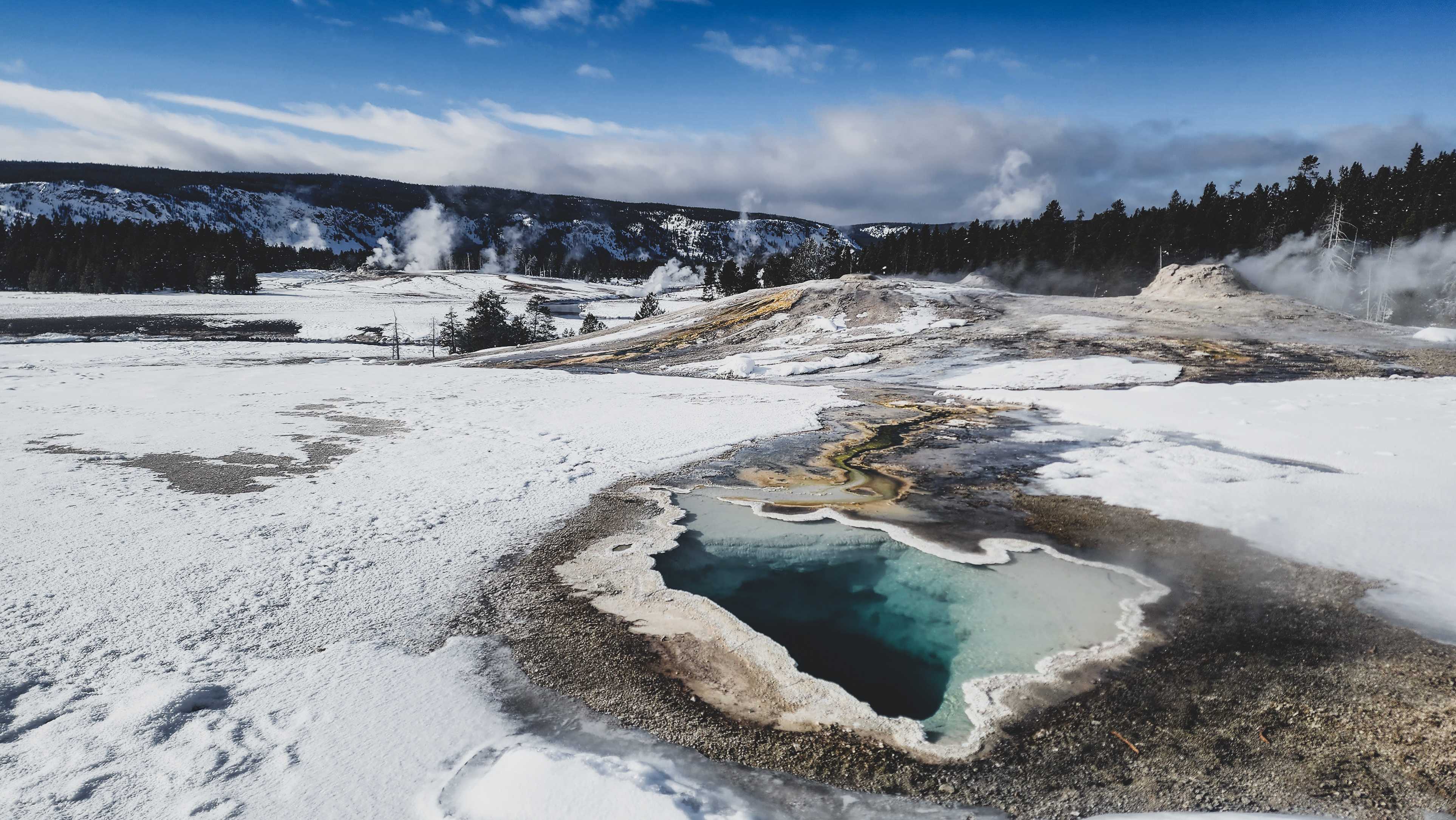 6-Day Yellowstone National Park Winter Wonderland Lodging Tour from Bozeman | Max 13 Small Group