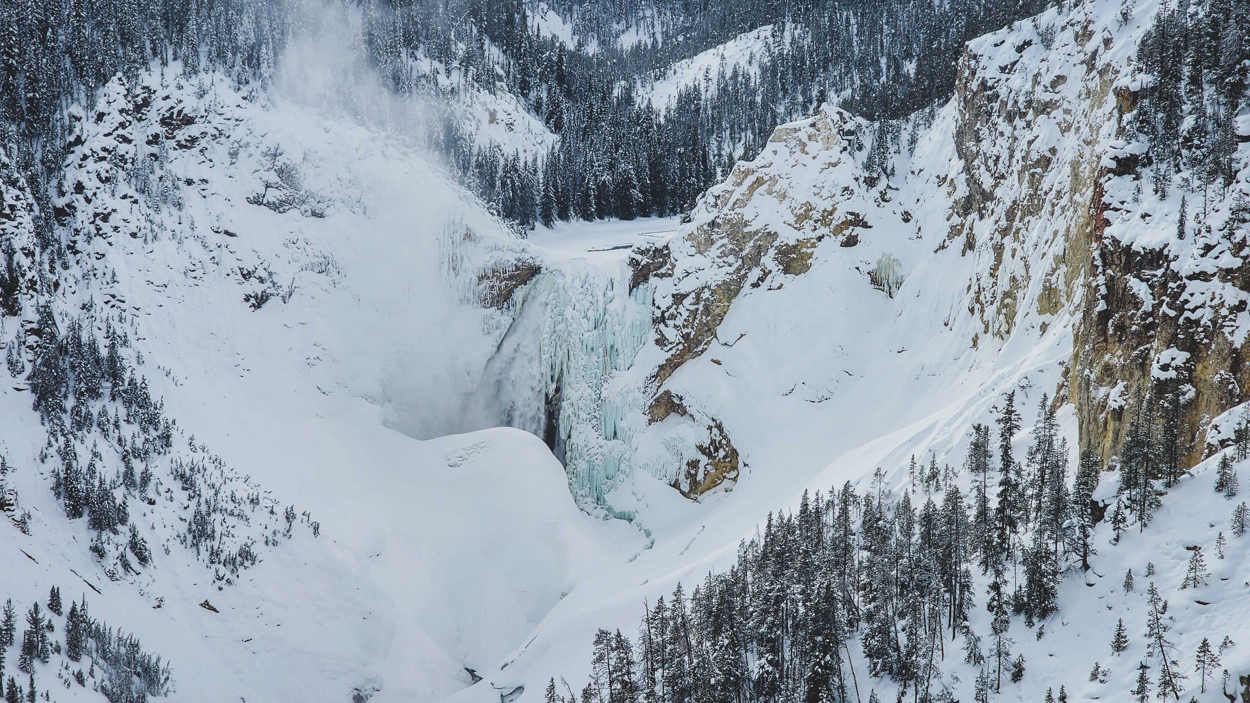 6-Day Yellowstone National Park Winter Wonderland Lodging Tour from Bozeman | Max 13 Small Group