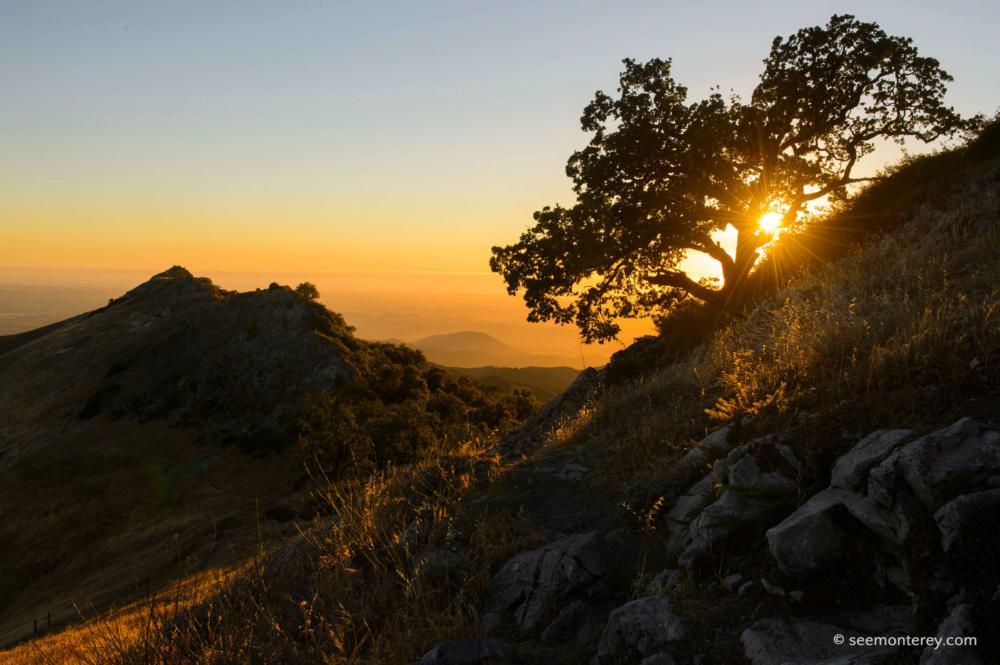 MONTEREY & BIG SUR DISCOVERY 3 DAY CAMPING TOUR 