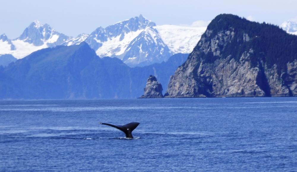 ALASKA KENAI ADVENTURE 9 DAYS