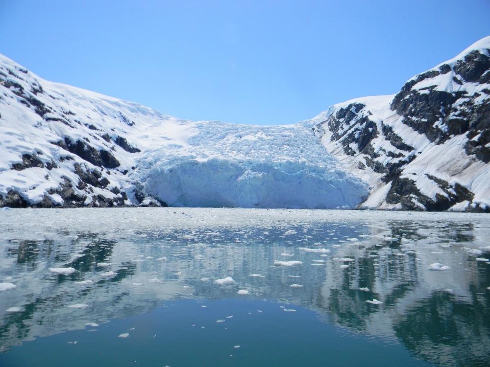 Turnagain Arm and Portage Valley Tour