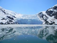 Turnagain Arm and Portage Valley Tour