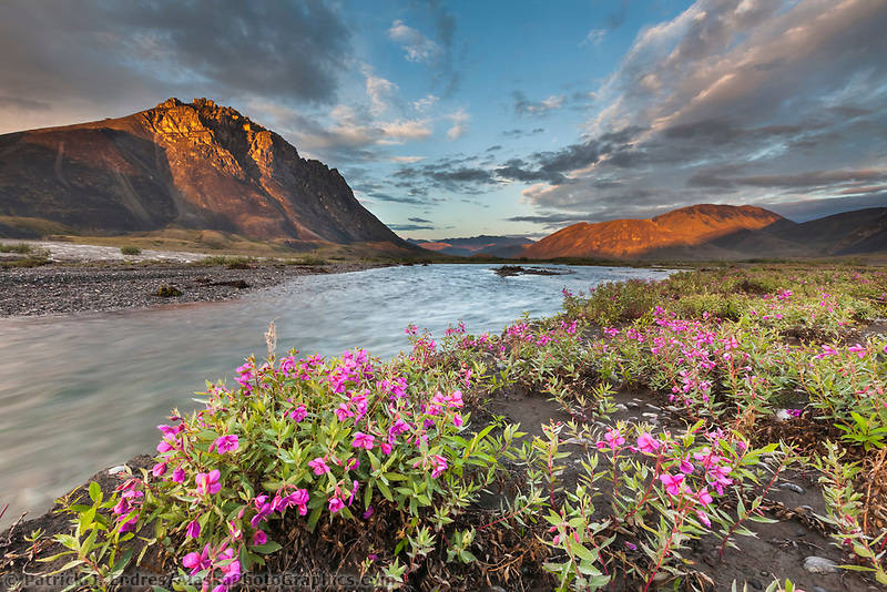 6-Day Best of Grand Alaska Highlights Tour