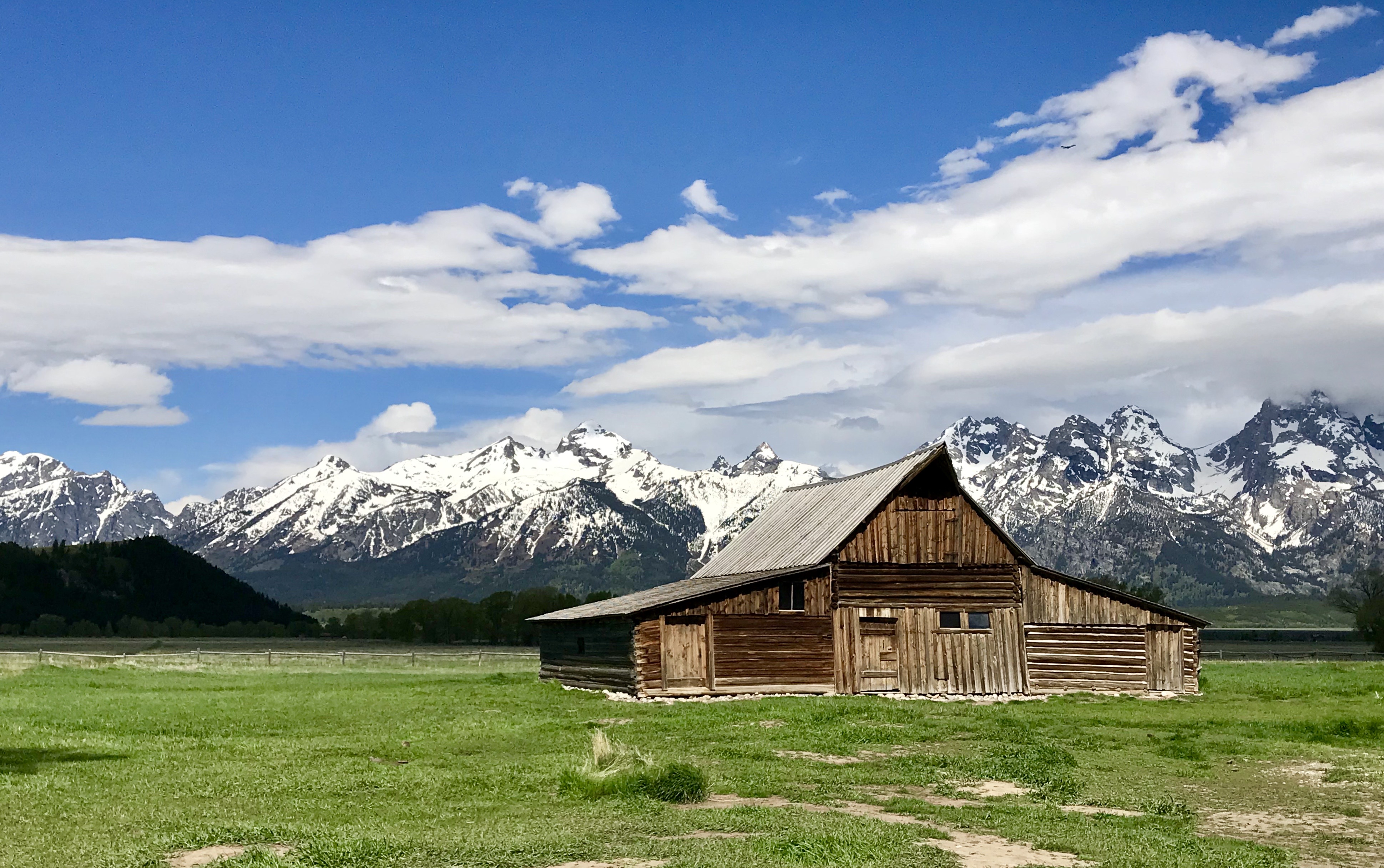 5-Day Yellowstone and Grand Teton National Park Tour from Bozeman