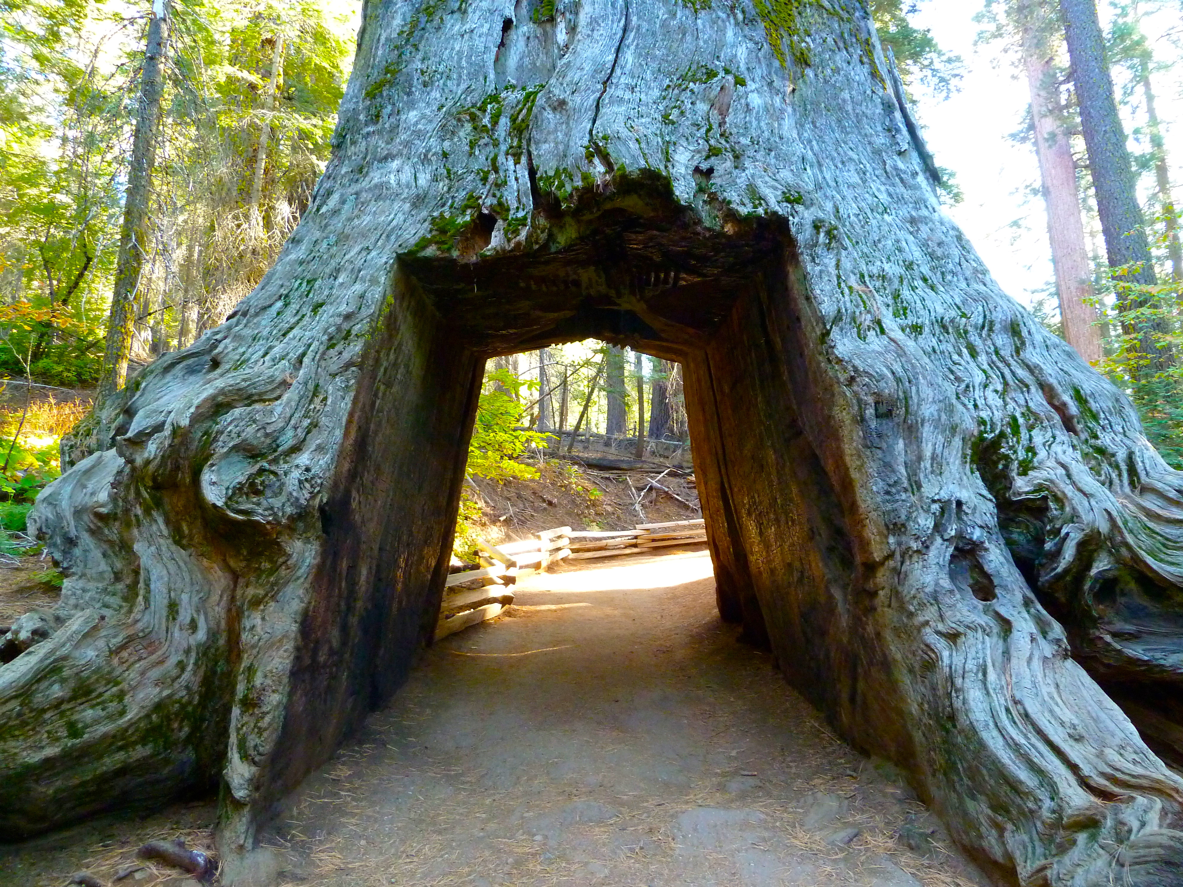 7-Day Summer Lodging Tour from Las Vegas: Zion, Bryce, Grand Canyon, Death Valley, Yosemite and Monument Valley | Max 13 Small Group