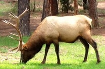 3-Day PRIVATE NATIONAL PARKS MINI EXPLORER LODGING TOUR