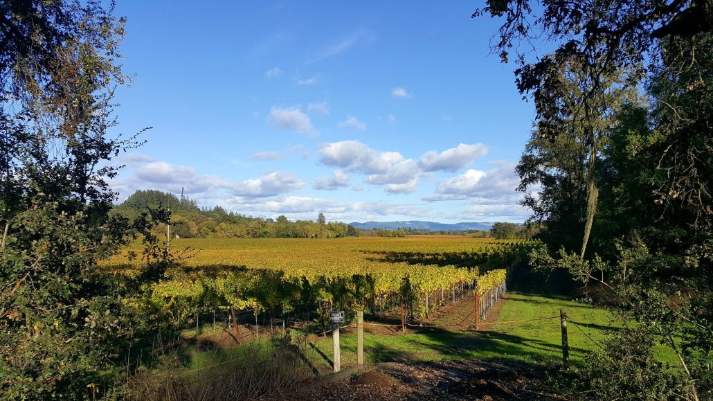 5 day California Coastlines and Vineyards, Waves and Wine small group tour