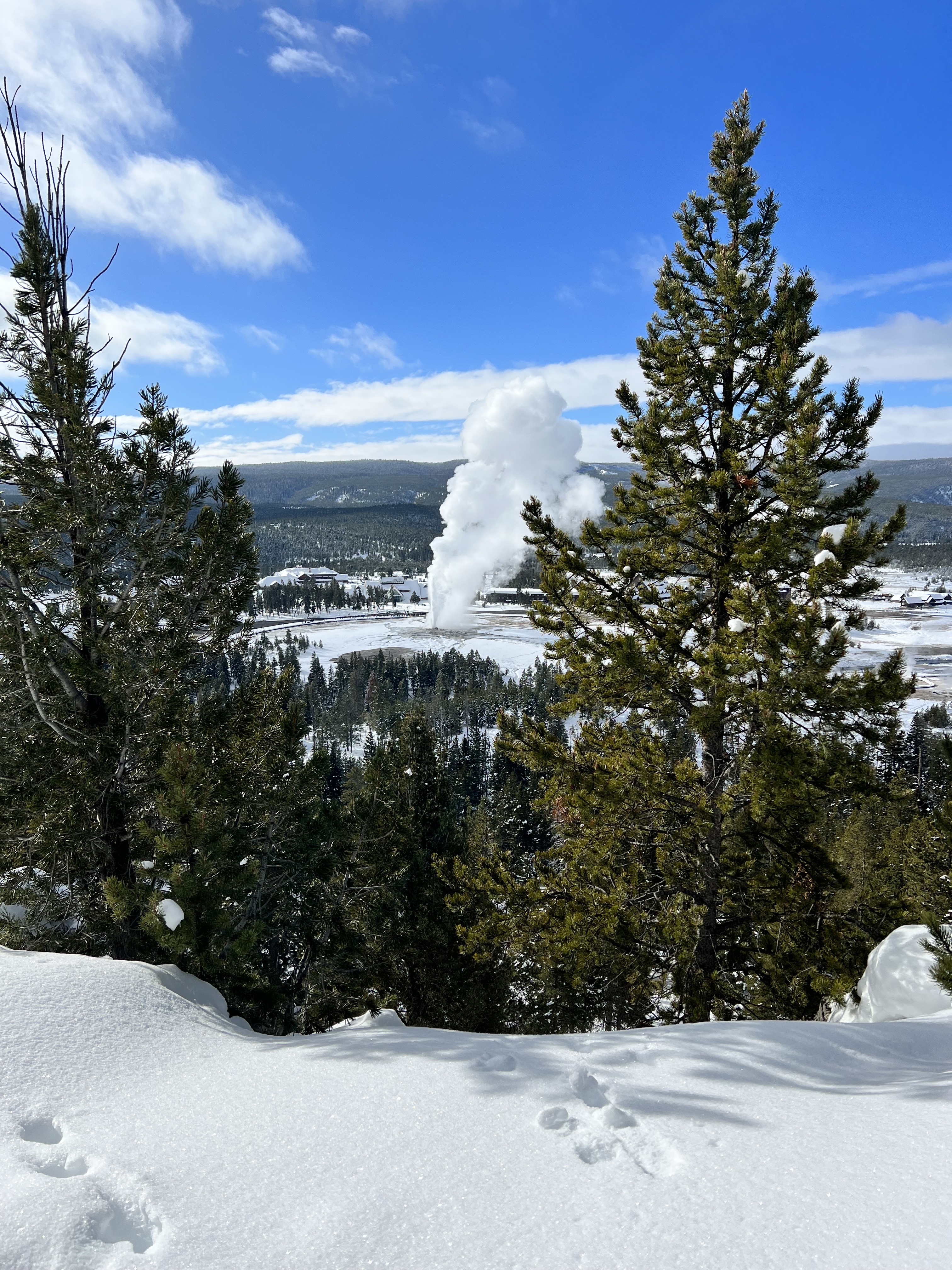 6-Day Yellowstone National Park Winter Wonderland Lodging Tour from Bozeman | Max 13 Small Group