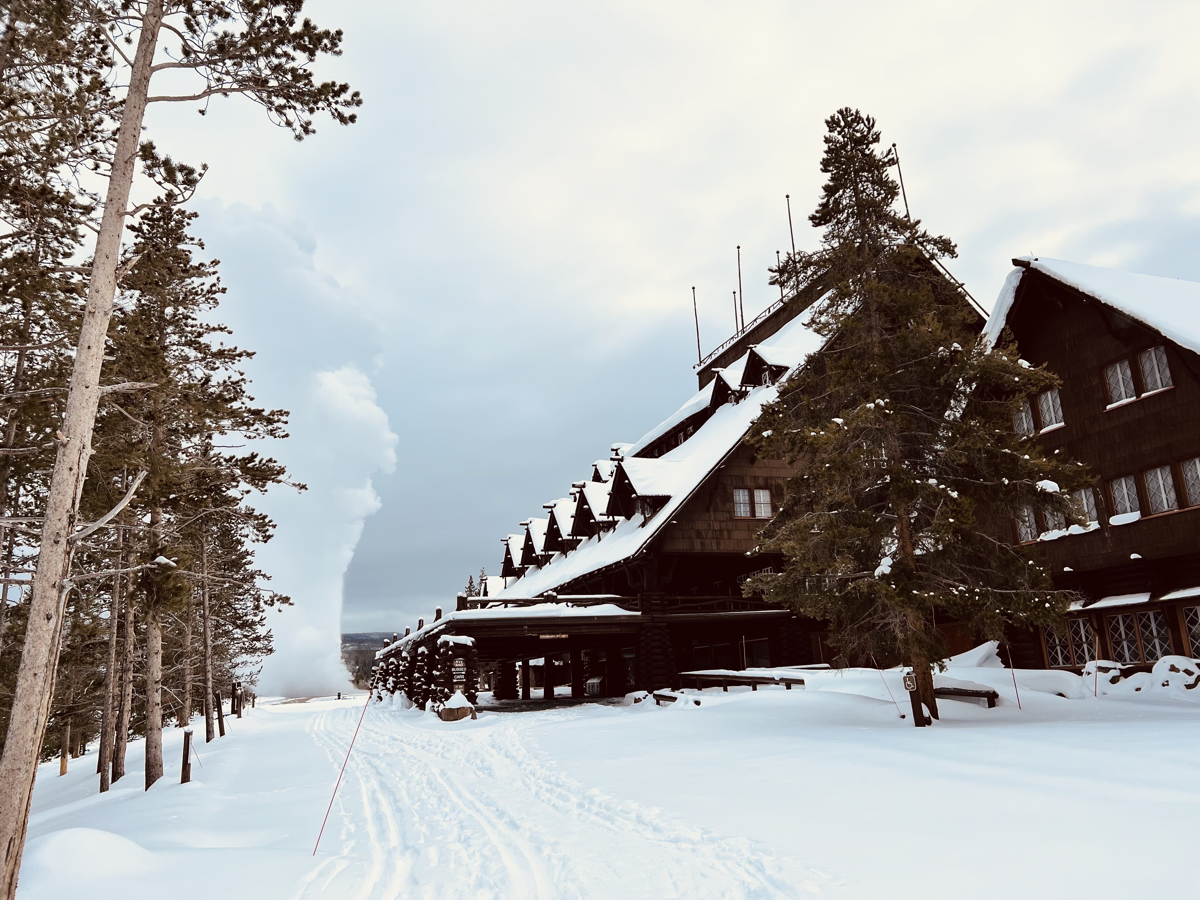6-Day Yellowstone National Park Winter Wonderland Lodging Tour from Bozeman | Max 13 Small Group