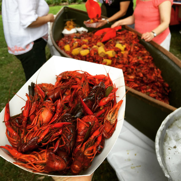 11-Day Total Solar Eclipse and Southern Sunshine Tour from Austin: San Antonio, Galveston, Lafayette and New Orleans