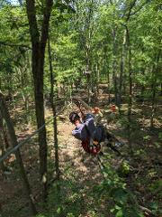 Adventure Ziplines (Adults and ages 12 and up)