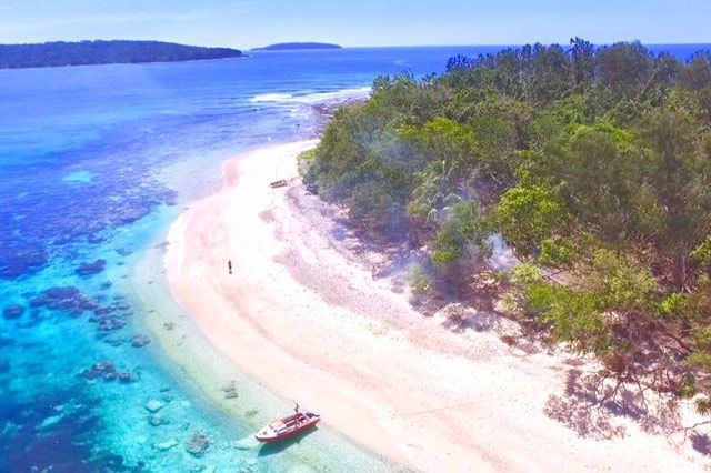 Dany Island Tour
