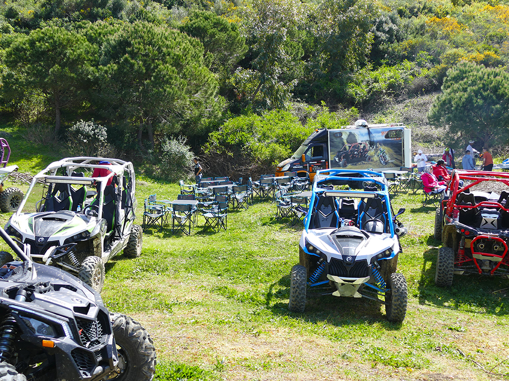 buggy excursion