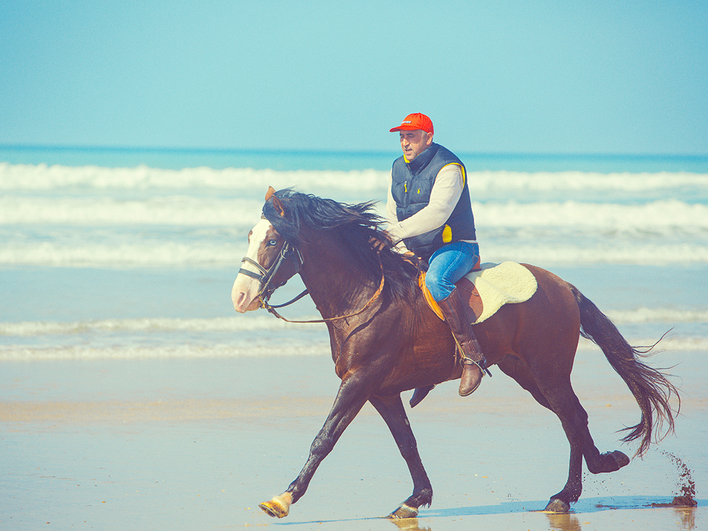 Horseback Riding PLAYA BLANCA Tangier 1 hour Mnar CASTLE