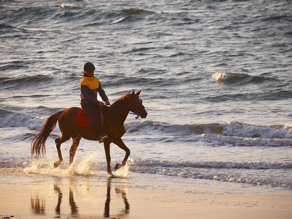 Horseback Riding PLAYA BLANCA Tangier 1 hour Mnar CASTLE