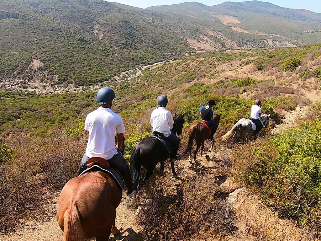 Horseback Riding: AGUENOUANE - Tangier - 5 Hours