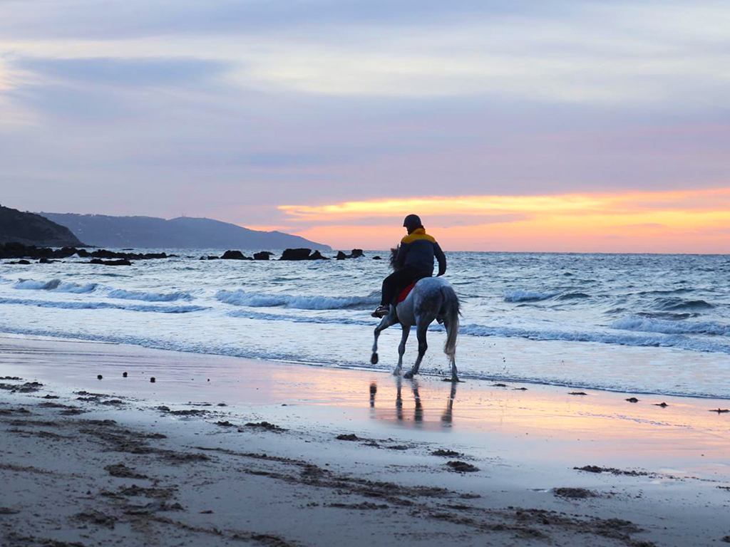 Horseback Riding: PLAYA BLANCA - Tangier - 1 hour