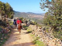 Horseback Riding: MNAR Hills Beginners - Tangier - 1 hour