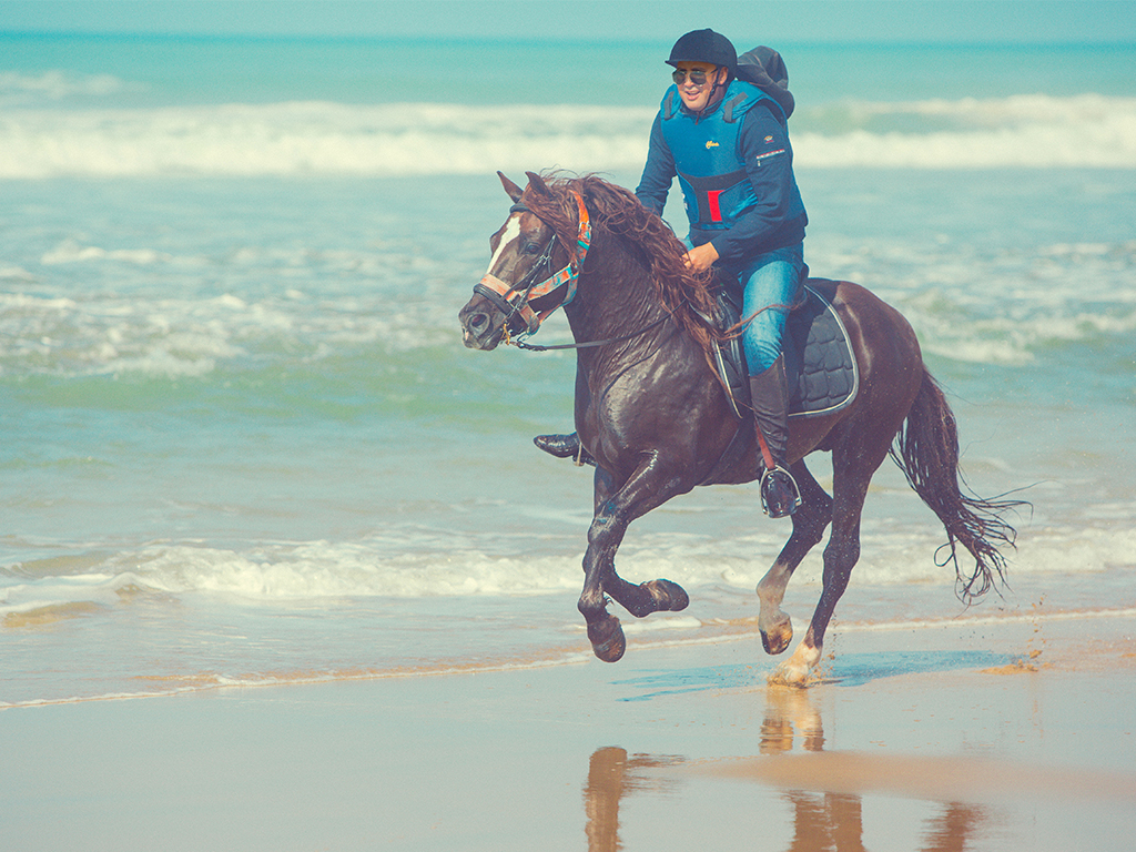 Horseback Riding PLAYA BLANCA Tangier 1 hour Mnar CASTLE