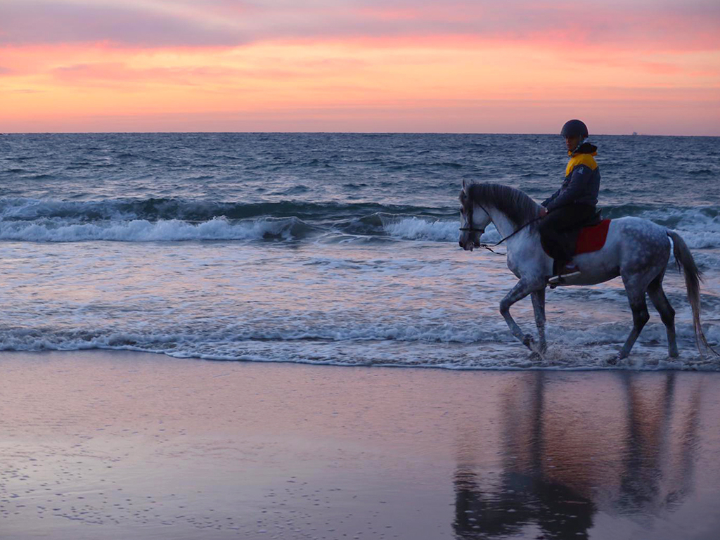 Horseback Riding PLAYA BLANCA Tangier 1 hour Mnar CASTLE