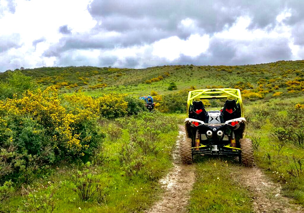 Buggy Excursion: MNAR Hills - Tangier - 1 hour