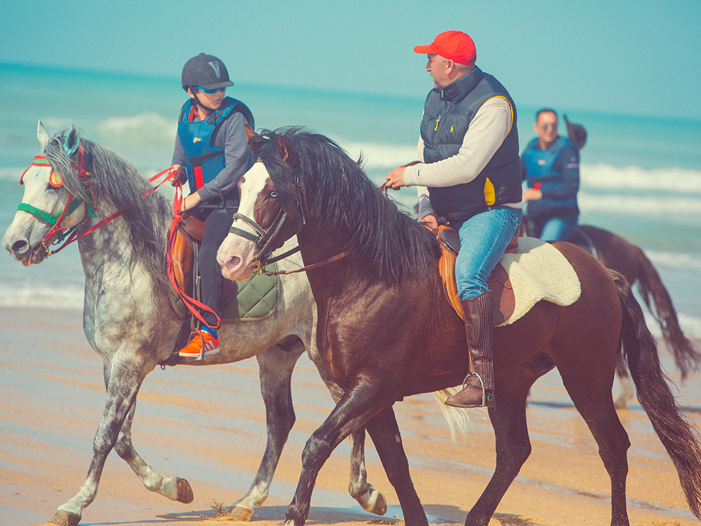 Horseback Riding PLAYA BLANCA Tangier 1 hour Mnar CASTLE