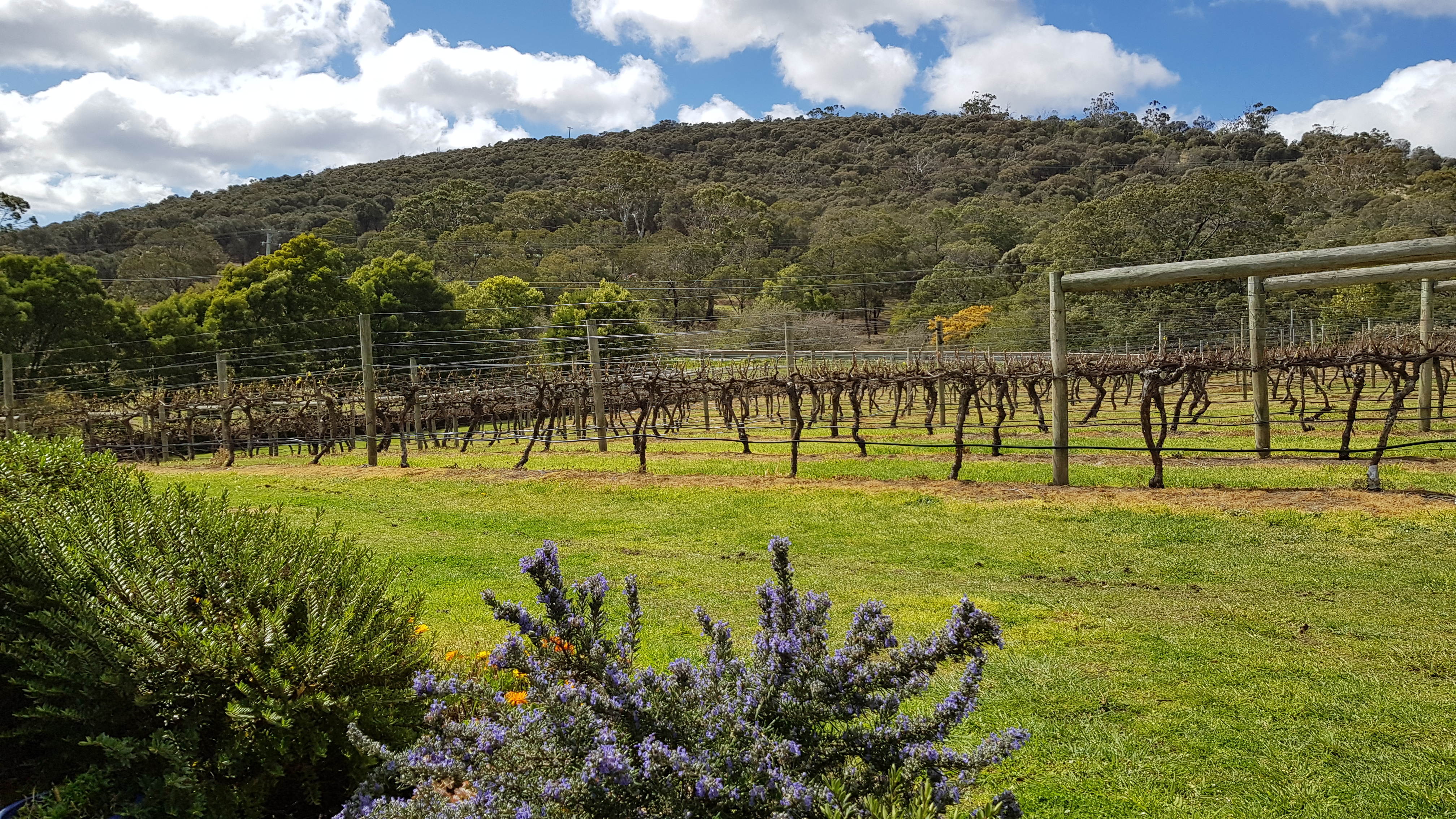 Personalised Coal River Valley Food & Wine Private Day Tour