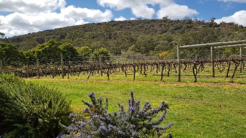 Private Coal River Valley Food & Wine Day Tour Tasmania Australia