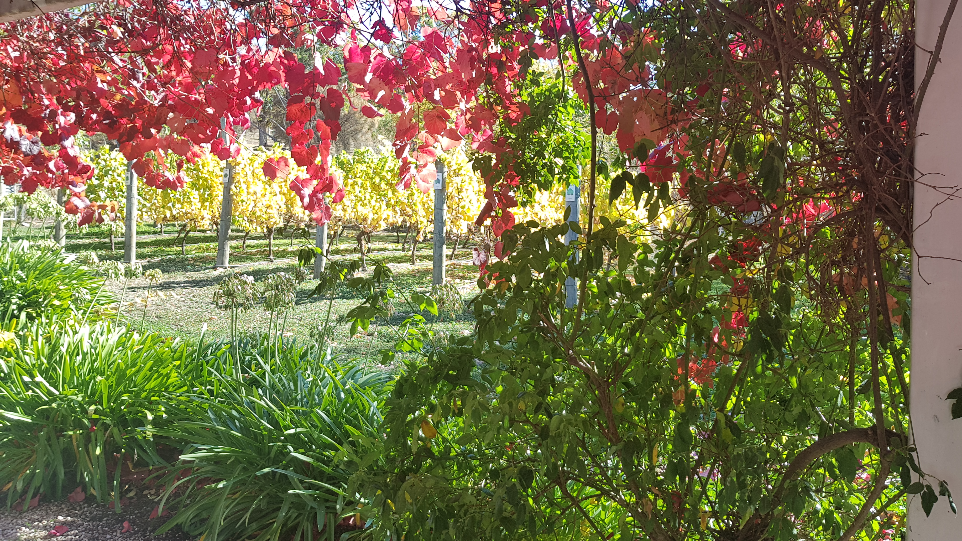 Personalised Coal River Valley Food & Wine Private Day Tour