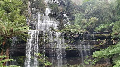 Mt Field Russell Falls, Bonorong, Richmond & Mt Wellington Day Tour Tasmania Australia