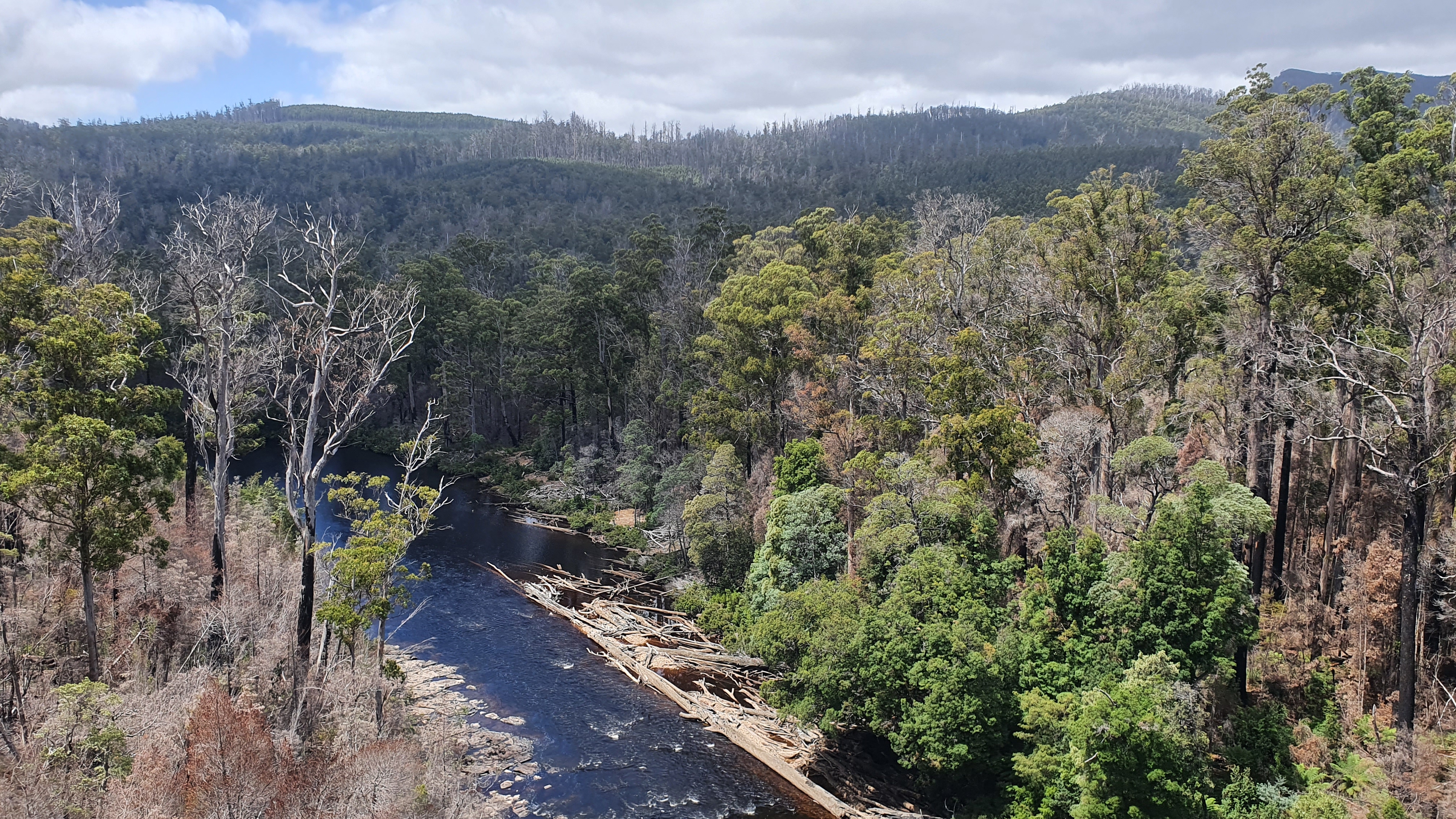 Huon Valley & Tahune Adventures Day Tour