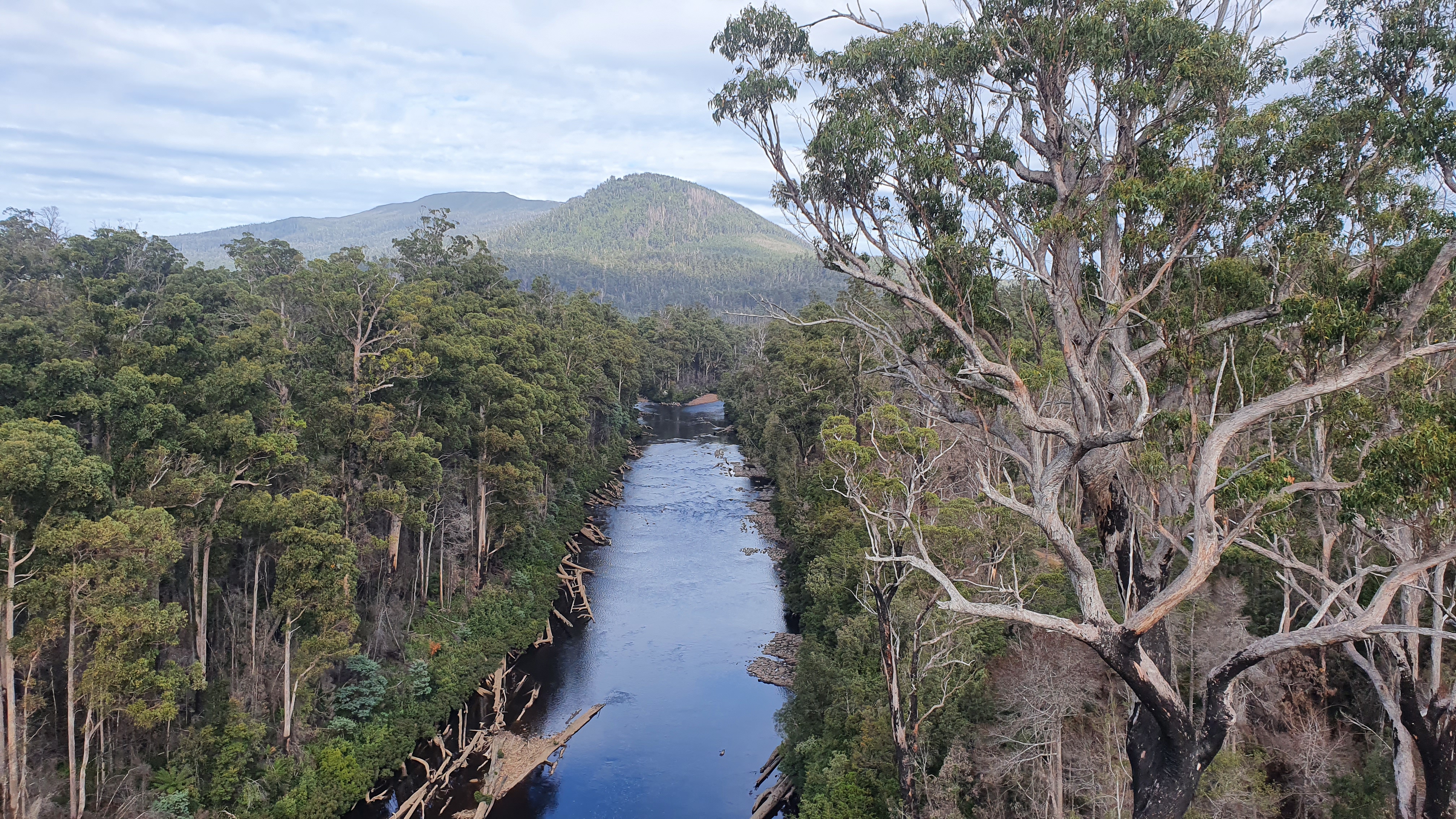 Huon Valley & Tahune Adventures Day Tour