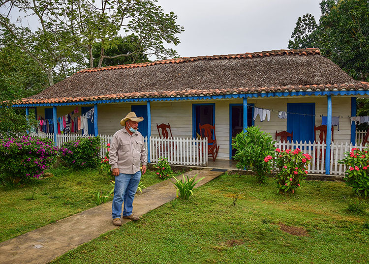 Cigars Farm in Cuba