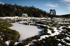 Hobart to the Higgs Track