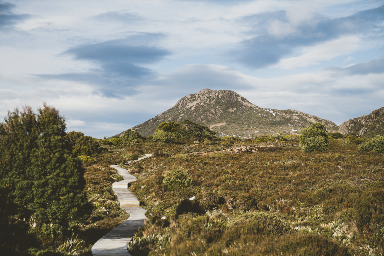 Guided Day Walk, Hartz Peak