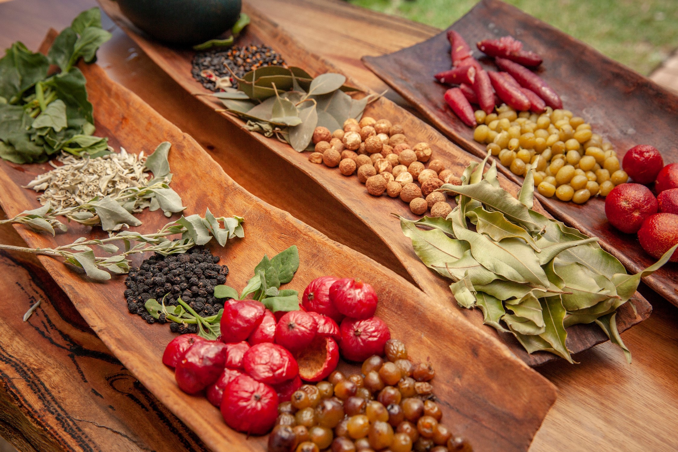 A Taste of the Outback: Unveiling the Wonders of Australian Bush Tucker