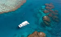 Great Barrier Reef Snorkelling Day Tour - Depart Magnetic Island