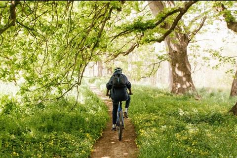 Guide_inbetween_blossoms_at_start_of_tour