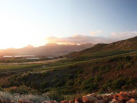 mountain_bike_adventure_half_day_tour_beautiful_scenery_oak_valley_view