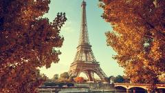 Eiffel Tower Guided Tour by Elevator: Summit 