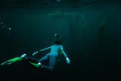 Dive at Dusk: Snorkel Tour La Jolla