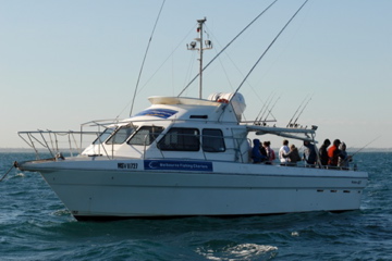  4 hour Package -  Bucks Private Mid Morning Fishing Charter  "Bellasandro" with Lunch max 1-16 people.