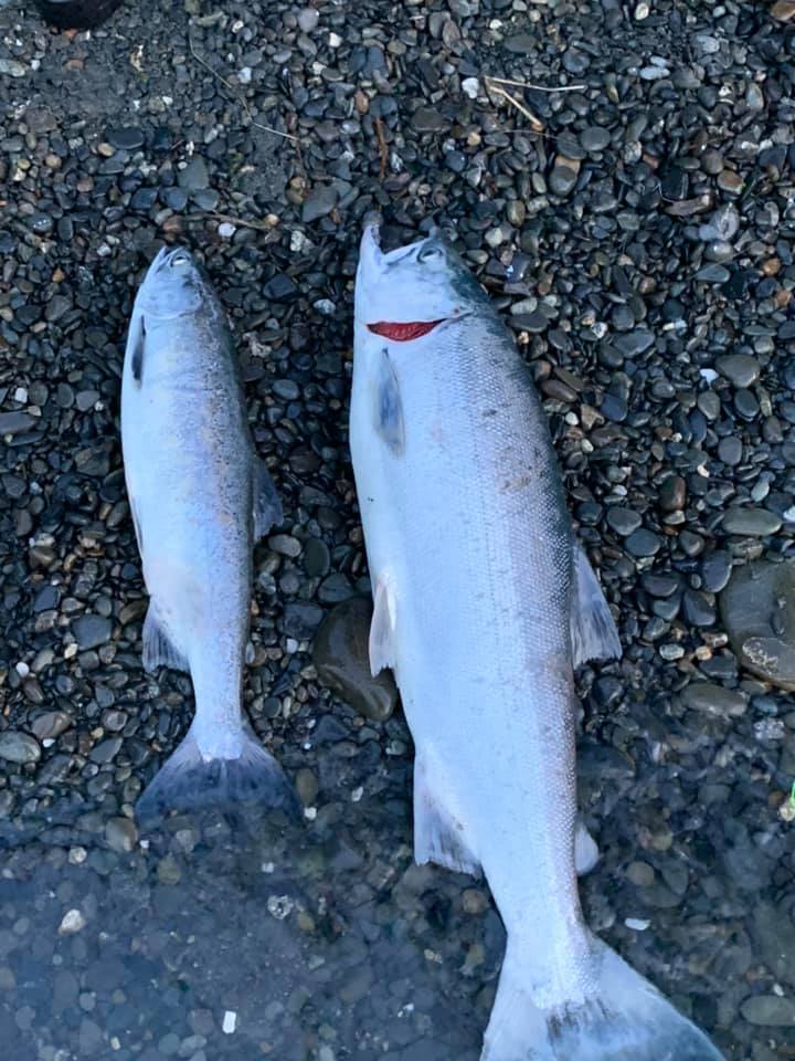 Chestwader Rental Alaska Anchorage, Fishing Wader Rental, Fairbanks Chestwader Rental