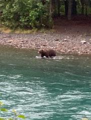 Binoculars with Chest strap 8x42