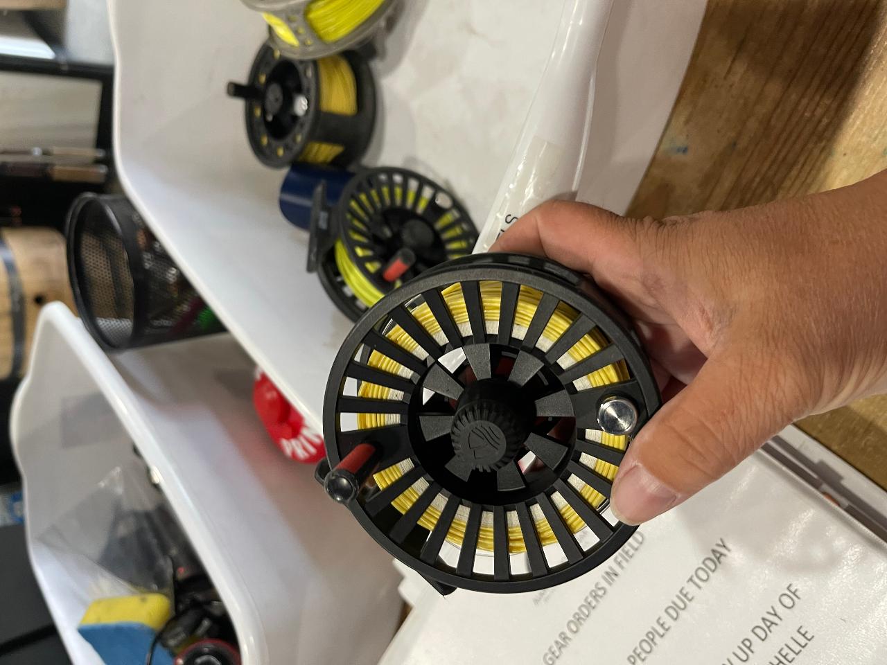 Reel - Fly Reel - 8WT Economy