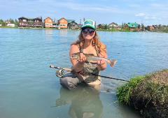 Fly Rod - 8WT Premium FT / 4 piece W/Case