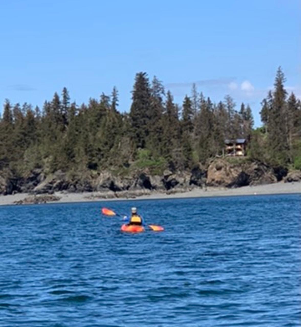 Kayak -Ocean Single Necky/Castine 14 ft W/ Rudder includes spray skirt, paddle, pfd, bilge pump